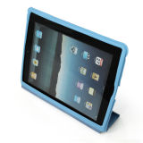 Case for iPad2