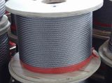 Top Quality 6X19 Stainless Steel Wire Rope (Fiber core)