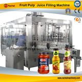 Pulp Juice Filling Equipment