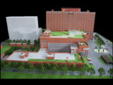 Architectural Model of a Hospital