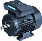 Single Phase AC Electric Motor (YL Sereis)