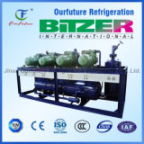 Bitzer 110V Cold Room Refrigeration Compressor Racks