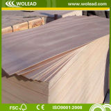 3mm-18mm Poplar Core Packing Plywood(W14092