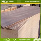 3mm-18mm Poplar Core Packing Plywood(W14092