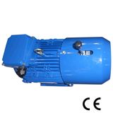 Brake Motor (200L-4/30KW)