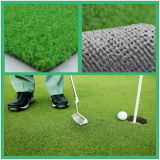 Golf Sport Artificial Grass (MHQD-C15C33PM)
