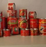 Professional Manufacturer of Tomato Paste