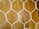 1X100m Chicken Wire Mesh