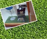  Atrium Grass Carpets Decoration (MD300)