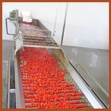 Fruit Sorting Machine