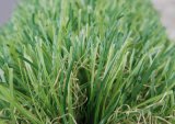 Artificial Grass for Garden (TMC35)