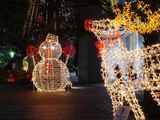 Holiday Light Motif LED Rope