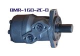 Orbit Swing Hydraulic Motor (BMR Series)