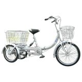 Cargo Bike (WT-CARGO-01)
