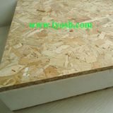 Sound Insulation OSB&EPS Sandwich Panel