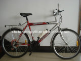 Cp Mountain Bicycle with Good Quality (SH-MTB147)