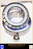 Tapered Roller Bearing (32205)