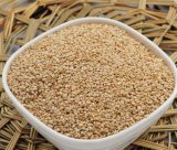 Fresh Natural White Sesame Seeds with Good Quality
