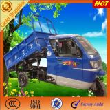 Hree Wheel Gasoline Heavy Duty Cargo Tricycle
