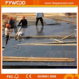 Fsc Timber E1 Glue Film Faced Plywood for Concrete Formwork