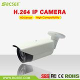 Day/Night Waterproof IP66 IR25m H. 265 IP Camera