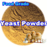 Feed Yeast Powder for Animal with Lowest Price