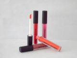 Flavored Private Customized Label! Hot Sale Waterproof Lip Gloss with Brush in OEM / ODM