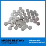 Custom Size Rare Earth NdFeB Neodymium Magnets