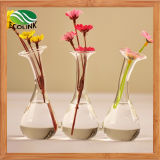 Water Plant Glass Vase Conjoined Flower Vase