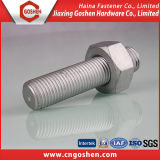 Stainless Stee Hex Head Bolt with Nut
