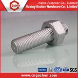 Stainless Stee Hex Head Bolt with Nut