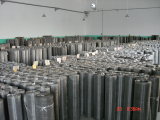 Stainless Steel Wire Mesh 304/316