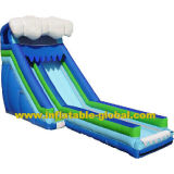 Inflatable Fun Water Slides (LY-SL162)