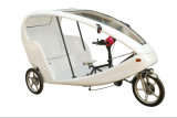 China Manufacturer Pedal Electric Tricycle