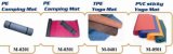 Mat, PE Camping Mat, TPE Yoga Mat, PVC Sticky Yoga Mat (M-0201&M-0301&M-0401&M-0501)