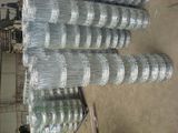 Galvanized Wire Mesh