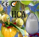 Garcinia Cambogia Extract 60% Hydroxycitric Acid Hca