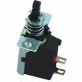 Push Buttion Switch (PS-2-24)