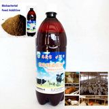 Algae Biobacterial Agent Used for Feed Additive