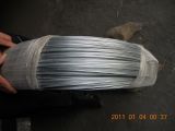 Hot DIP Oval Steel Wire (Q195, 45#)