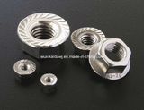 HEX Flange Nut