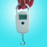 Hanging Scale ( LC HGT )