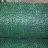 Plastic Coated Hexagonal Wire Netting (DYWM961134)