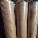 Galvanized Welded Wire Mesh Made in China