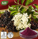 Kingherbs' 100% Natural Black Elderberry Extract: Anthocyanidins 3% ~ 25% by UV