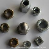 Hex Nut, Cap Nut, Flange Nut, Square Nut