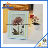 Ppf01914 New Design Plastic Photo Frame