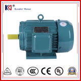 Electric Three Phase Induction AC Motor