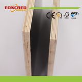 Construction Grade 18mm Brown/Black Film Faced Plywood