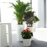 Fiberglass Flowerpots & Planter for Home & Garden Decor